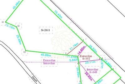 Teren Construcții intravilan de 4761 mp, în Viișoara - 3