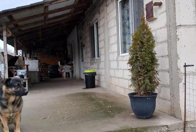 Casă cu Teren 600 Mp în Nord - 2