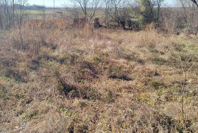 Casă cu 3 camere decomandat în Covei - 7