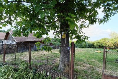 Spațiu comercial, în Moldovenești