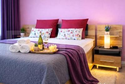 Apartament cu 2 camere decomandat în Dumbrăvița - 8