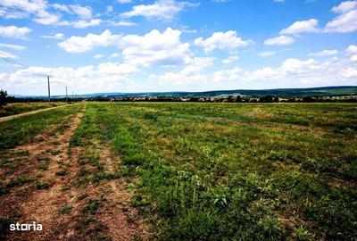 Spațiu comercial, în Leș - 1