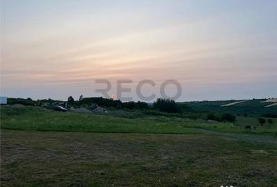 Teren de 903 mp, în Paleu - 10