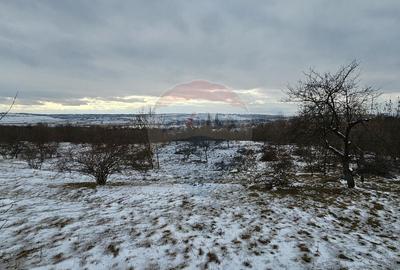 Teren 10,000mp Rada?eni / ?oseaua DN2-E85, jude?ul S... - 15