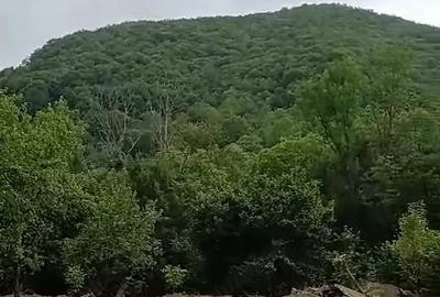 Teren de 2000 mp, în Central - 3
