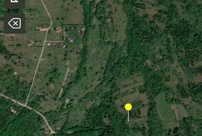 Spațiu comercial, în Viștișoara