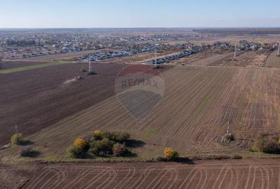 Vanzare teren intravilan 7.500 mp Sabareni - 8