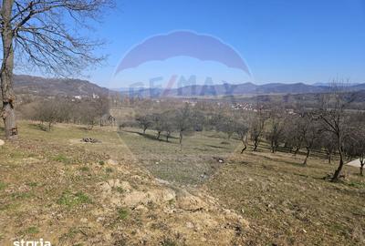 Teren de 4627 mp, în Bârsana - 2