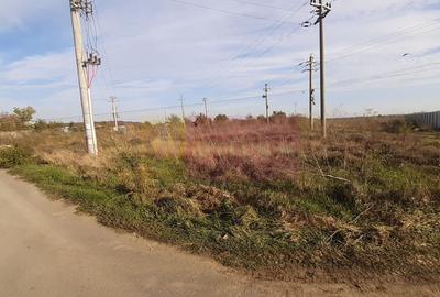 Teren Construcții intravilan de 1137 mp, în 1 Decembrie - 2