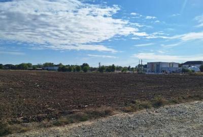 Snagov- Ciofliceni, loturi de casa intre 504-670mp, ?erba - 11