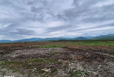 Teren de 1450 mp, în Tărlungeni - 6