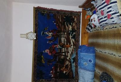 Casa de vanzare Calomfiresti - 4