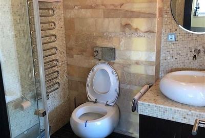 Vila deosebita Braytim - 41