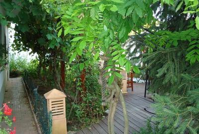 Vila piscina superba gradina matura cu iesire directa la padure - 25