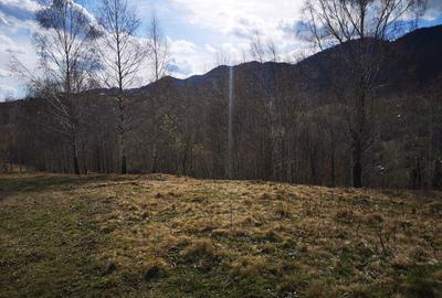 Spațiu comercial, în Peștera - 5