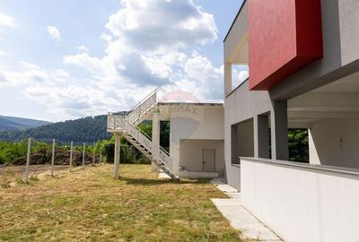 Vila cu piscina - Bistrita - 33