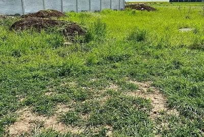 Teren de 374 mp, în Berceni - 2