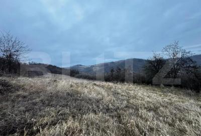 Teren de 4300 mp, în Vințu de Jos - 2