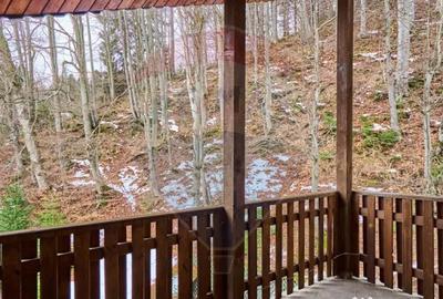 Casă cu 5 camere cu Teren 661 Mp în Clăbucet - 9