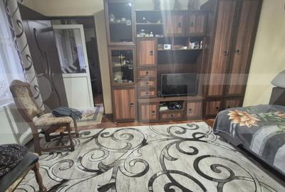 Casa 4 dormitoare, 190 mp, 1306 mp teren, zona Careiului - 18