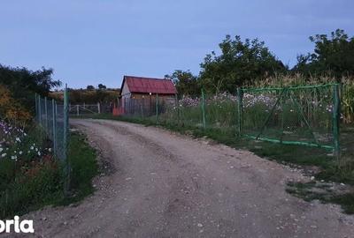 Teren de 1800 mp, în Central - 2