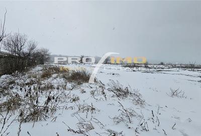 Teren 600mp. curs constructii, Utilitati, Palazu Mare, str.Spicului - 4