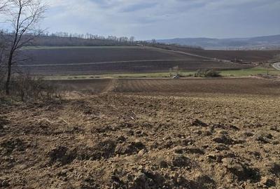 Teren de 7000 mp, în Hoghilag - 3