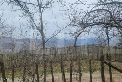 Teren în Schiulești - 8