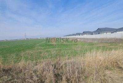 Terenuri Clinceni - 2.500mp -> 15 Ha - 2