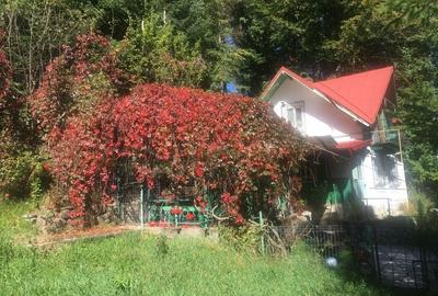 Casa si teren 1000 mp, Sinaia, zona excelenta, pe Furnica, langa Peles - 6