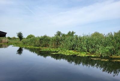 Dimineți pe ponton, seri la piscină – viața la Snagov - 4