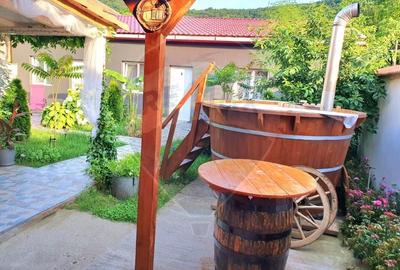 Casă cu 8 camere cu Teren 527 Mp în Berzasca - 2