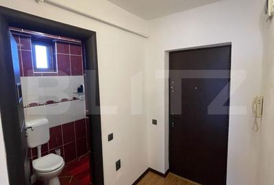 Apartament cu 3 camere decomandat în Siloz - 18