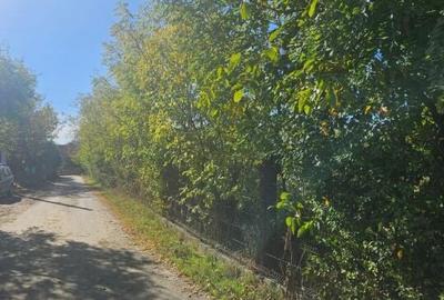 Teren intravilan de vanzare Ploiesti Bucov - 9