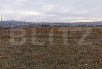 Teren intravilan Poiana Patrauti de 5900mp - 1