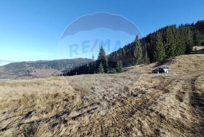 Teren extravilan de 31461 mp, în Panaci - 7