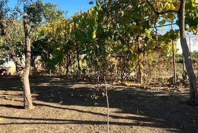 Casa individuala de caramida cu centrala pe gaz Parta - 19