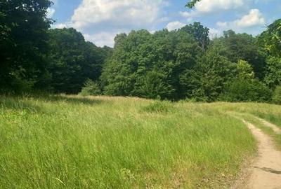 Teren de 7700 mp, în Central - 1