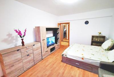 Inchiriere gars ANL Brancusi Valea Oltului  la cateva min metrou Valea Ialomitei - 1