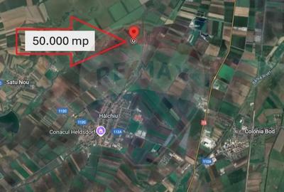 Teren de 50000 mp, în Hălchiu - 5
