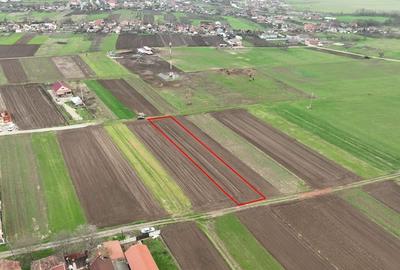 Teren Construcții intravilan de 1100 mp, în Girișu de Criș