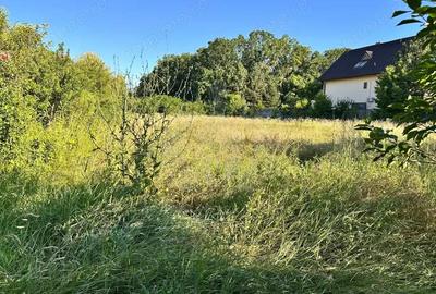 TEREN INTRAVILAN //GAGENI//PAULESTI TEREN INTRAVILAN //GAGENI//PAULESTI - 2