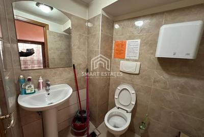 Casă individuală cu 9 camere cu Canalizare în Parcul Carol - 11