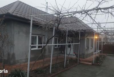 Casă cu 4 camere cu Teren 1100 Mp în Lumina - 2