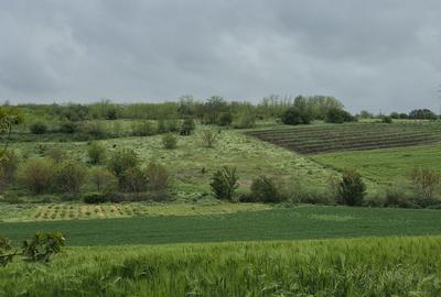 Teren de 770 mp, în Vlad Țepeș - 8