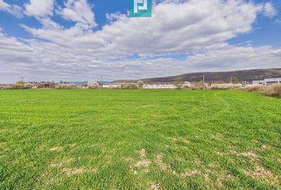 Teren agricol extravilan de 10000 mp, în Sud-Est - 1