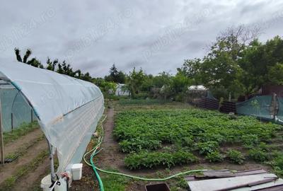 Casă cu Teren 1000 Mp în Central - 7