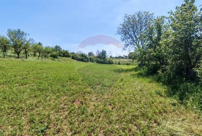 Tere cu constructie de vanzare in Urlati - 9