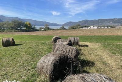 Teren de 2900 mp, în Sichevița - 4