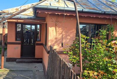 Casă cu 2 camere în Strejnicu - 1